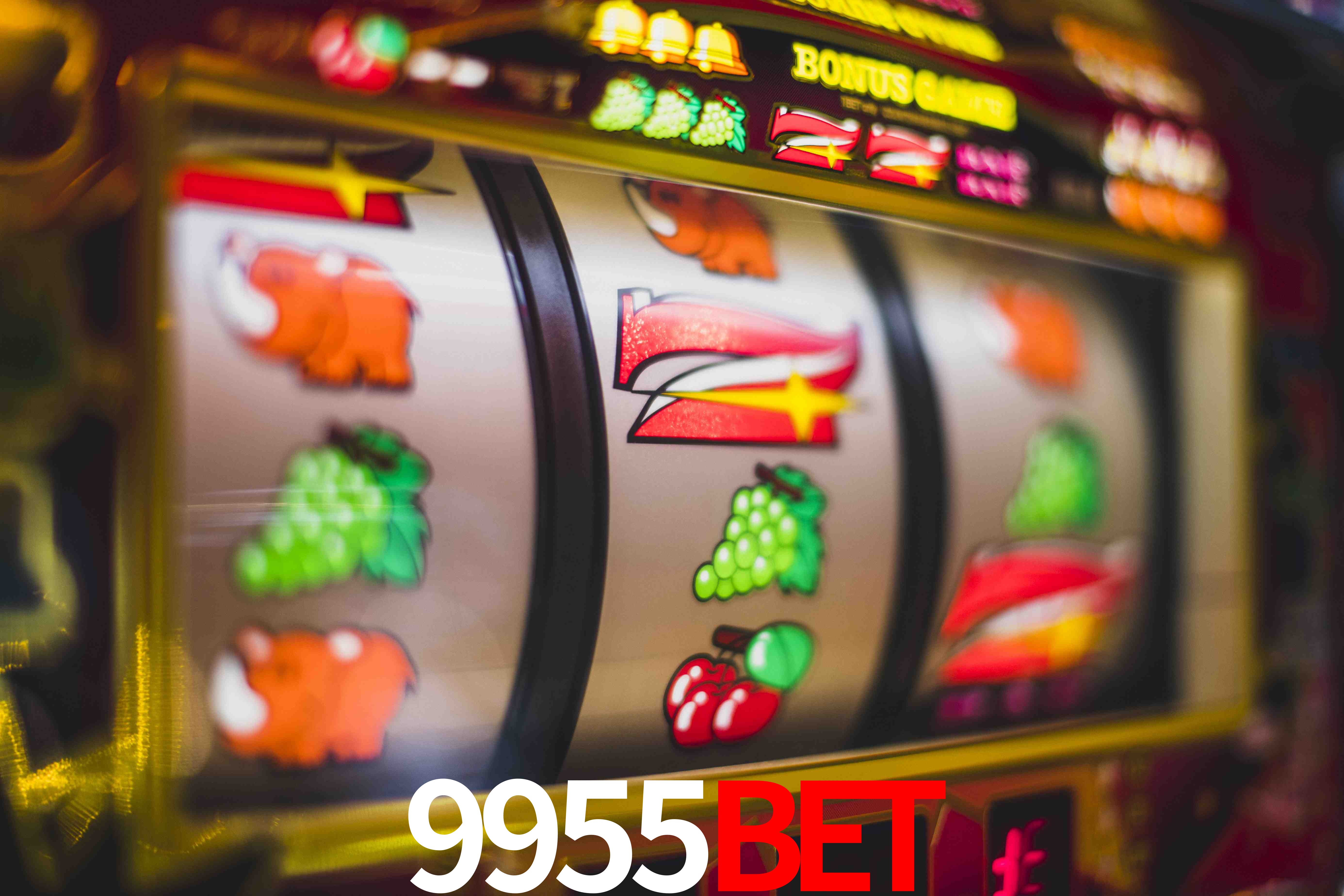 Basketball Betting 9955Bet